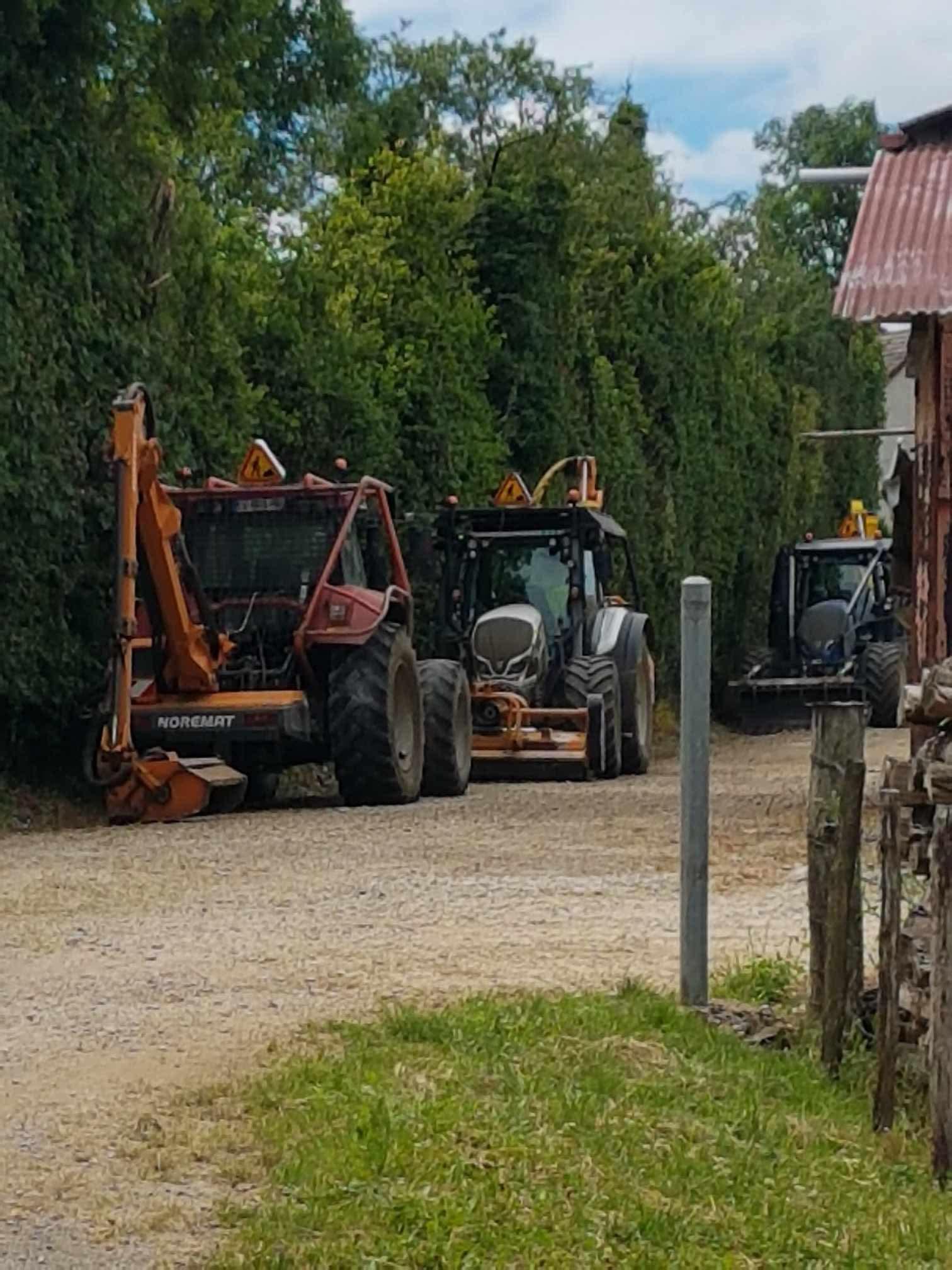 Taille au lamier dans le Jura — SAS POLYVIER